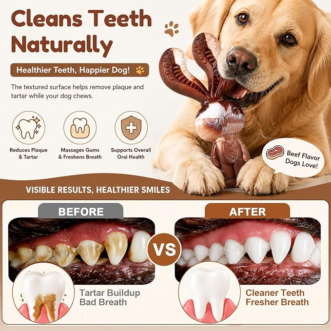 Indestructible Dog Toys for Aggressive Chewers, Tough and Durable Chew Toys for Large Medium Dogs, Interactive Dog Chew Toys to Keep Them Busy (F Squirrel+Crab)