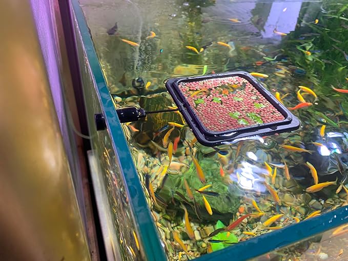 Magnetic Fish Feeding Ring, Floating Aquarium Feeder Ring for Fish Tank,Betta Feeding Ring for Goldfish, Guppy, Fresh/Saltwater Tanks- Prevents Food Scattering and Anti-Falling Off(Patented Product)