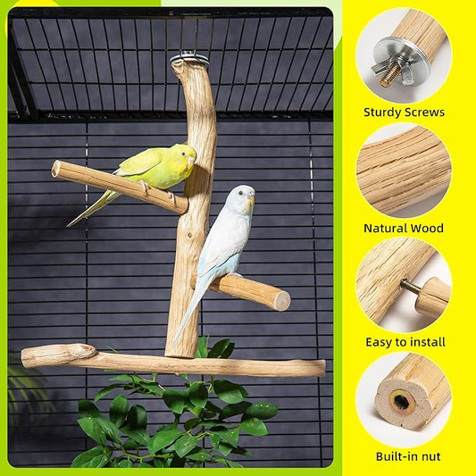Natural Wood Bird Perch for Top of Cage, Cage Top Perch Play Stand for Parakeets, Cockatiels, Lovebirds and Small Conures, Multi-Level Training Branch for Small Medium Birds