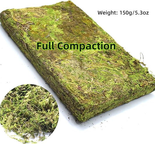 DoubleWood Natural Forest Moss for Small Pets, 5.2 oz Artificial Moss, Decorative Bedding and Nesting Material for Hamsters, Gerbils, Mice, Degus or Other Small Animal (5.2 oz)