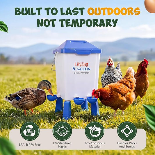 Lilyang Large Chicken Feeder and Waterer Set 5 Gallon, Automatic No-Waste Feeder, Elevated Water Dispenser with Legs, Anti-Spill Ports & Leak-Proof Cups, Feed Chickens & Ducks