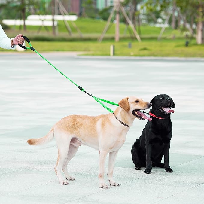 iYoShop Dual Dog Leash - 360° Swivel, No Tangle Walking Leash with Shock Absorbing Bungee for Two Dogs (Large, 25-150 lbs, Emerald)