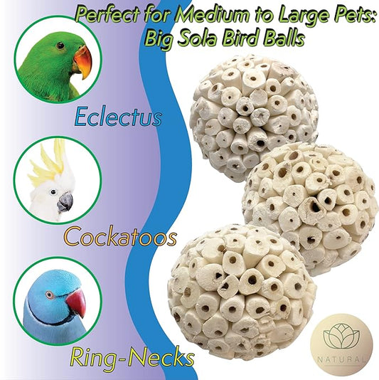 5103 Big Sola Bird Balls Pk9 - Handmade Natural Wood Bird Foot Toys, Crafted from air Dried sola Wood, Superb Foraging Toys, Easy to chew Apart, Lightweight, Great for Medium and Large Size Birds