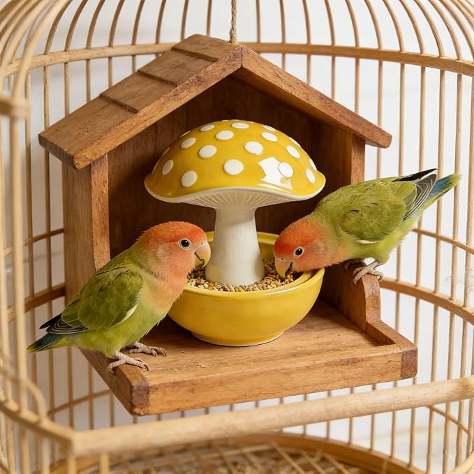 Cute Mushroom Ceramic Bird Water Dispenser & Seed Bowl, Premium Glazed Anti-Dust Feeding Dish for Small Parrots, Conures, Hamsters, Heavy Duty Cage Accessory
