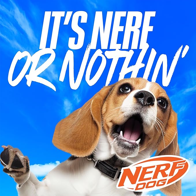 Nerf Dog Rainbow Vortex Chain Tug Dog Toy, Lightweight, Durable and Water Resistant, 19 Inches, For Medium/Large Breeds, Single Unit, Rainbow Colored