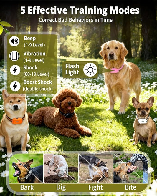 3 Dog Shock Collar with Remote Control (5–150Lbs), 4400FT Waterproof Training Collar for Dogs 3 Pack 5 Training Modes Rechargeable Electric Dog Collar with Light, E collars for Small Medium Large Dogs