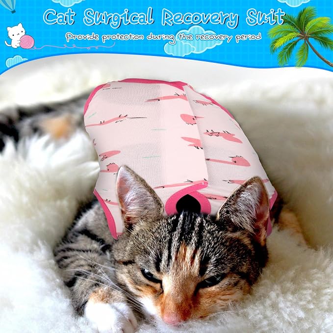 Kacctyen 6 Set Cat Recovery Suit After Surgery Female and Male Cat Kitten Surgery Suit E Collar Alternative Pajama Kitty Clothes for Spay Abdominal Skin Anti Licking(Animal,Small)