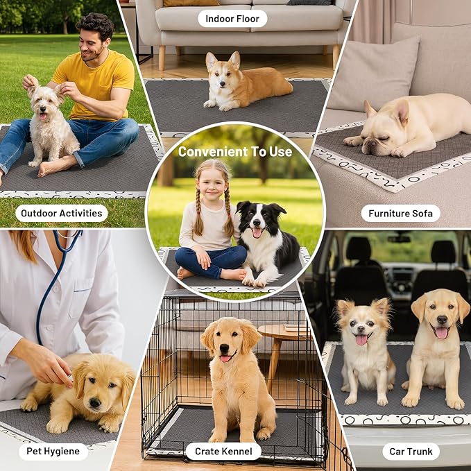 ZOMISIA Charcoal Puppy Pee Pads for Dogs, 22"x22" 100 Counts + 2 Extra Health Monitoring Pads - Disposable Dog Potty Training Pads, Odor-Control, Super Absorbent & Leak-Proof