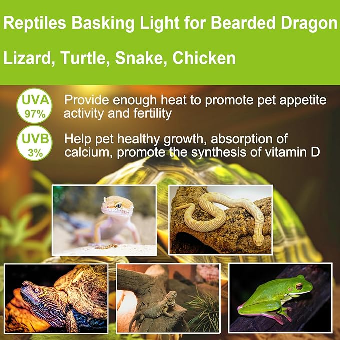 UVB UVA Reptile Light Bulb 50W Bulb for Reptiles and Amphibians Use for Turtle, Bearded Dragon, Lizard Cages Heat Lamp Replacement Bulb, Pack of 6