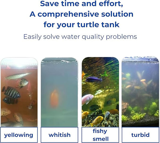 2 Packs Turtle Feeding Ring with Suction Cup and Nitrifying Balls Fish Food Holder Aquatic Toys for Turtles Tortoise Goldfish Guppy Koi Puffer Turtle Tank Accessories (Square & Circle)