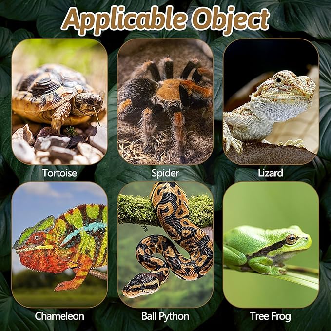 BNOSDM Large Reptile Pine Bark Substrate Tortoise Bed for Habitat Natural Flat Pine Wooden Bulk Terrarium Reusable Bark Pieces for Leopard Gecko, Spider, Chameleon, Ball Python, Tree Frog