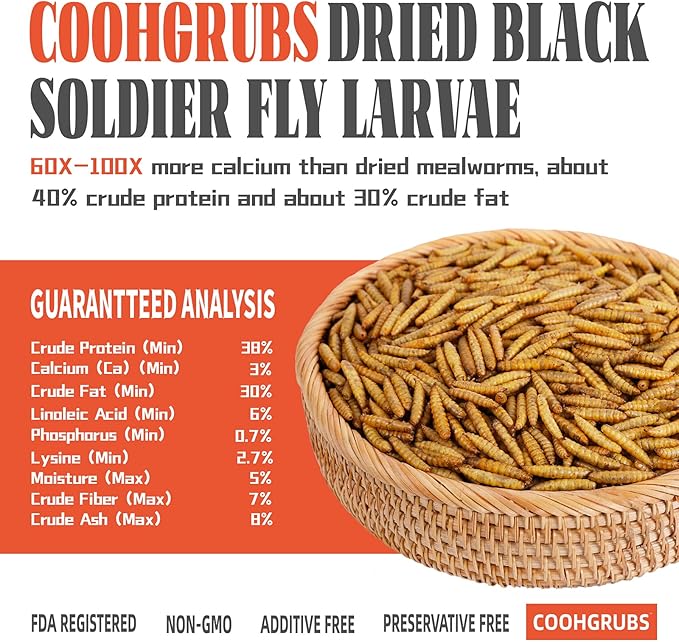 COOHGRUBS Black Soldier Fly Larvae for Chickens – 100% Natural Non-GMO Grubs, 85X More Calcium Than Dried Mealworms – Clean, Nutritious & Delicious High-Protein Poultry & Bird Treats, 5-lb Box