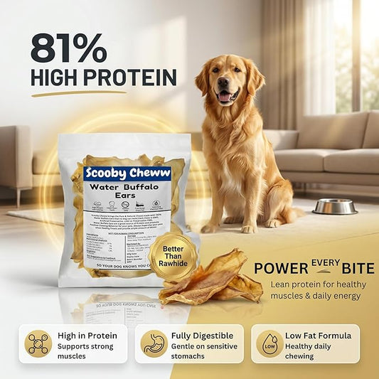 100% Natural Pet Treats 12 Pack Grass Fed Water Buffalo Ears for Dog | High Protein Beef Cow Ears for Dogs Safe Rawhide Dog Treat Suitable for Small, Medium & Large Breeds Dogs Chews