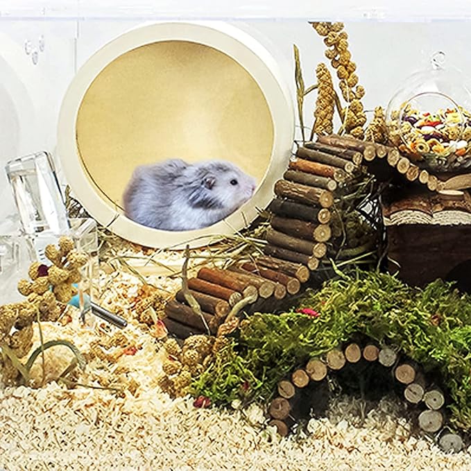 Hamster Wooden Running Wheel, Wooden Small Pets Exercise Wheel, Running Spinner Wheel Play Toy for Rat Gerbil Mice Chinchillas Hedgehogs Guinea Pigs, S