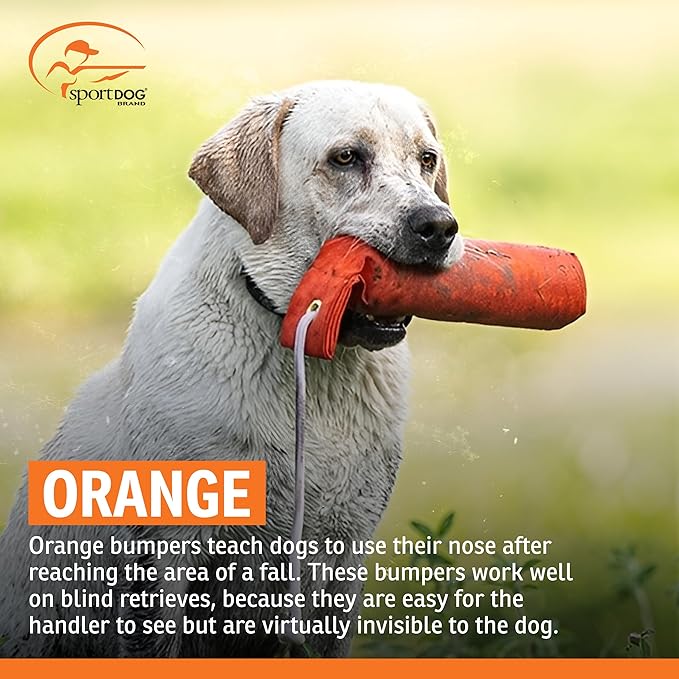 SportDOG Canvas Dummies - Hunting Dog Training Tool - Game Scent Absorber - Water-Ready Bumper - Durable Field Dummy - Weighted Toy - Standard Size - 2.75" W X 12" L - Orange