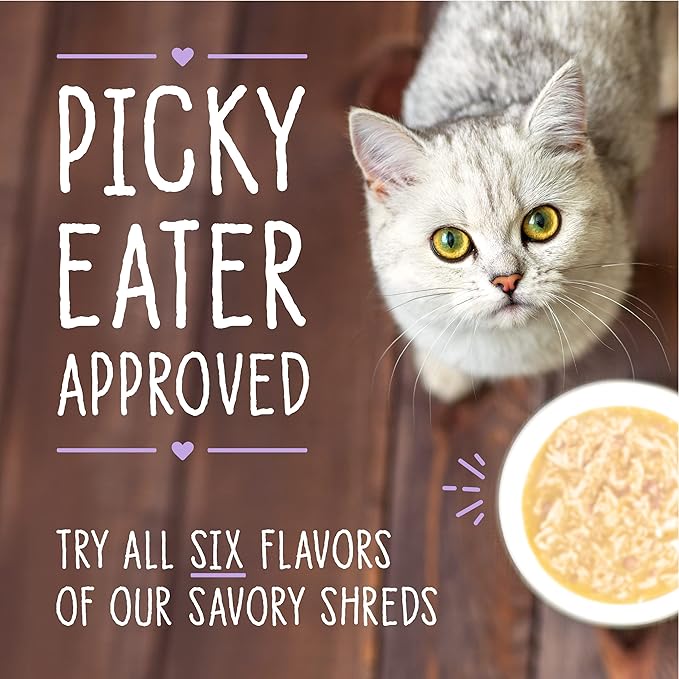 Stella & Chewy's Carnivore Cravings Savory Shreds Cans – Grain Free, Protein Rich Wet Cat Food – Cage-Free Chicken & Wild-Caught Salmon Recipe – (2.8 Ounce Cans, Case of 24)
