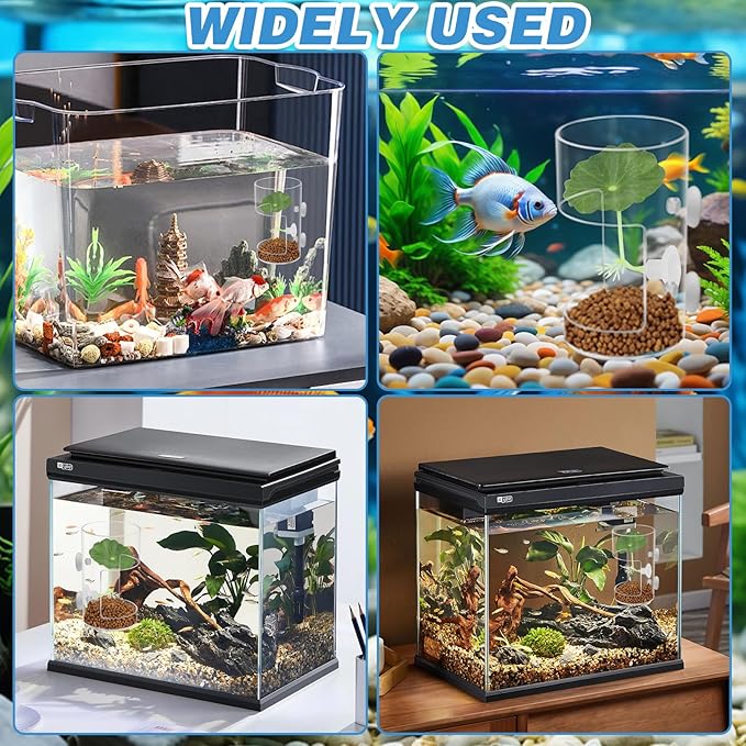 Fish Tank Food Tray with Suction Cups Comes with Two Single-Layer Small Lotus Leaves, Feeding Tube Supplies, Breeder Box for Aquarium, Round Aquariums & Fish Bowls Accessories