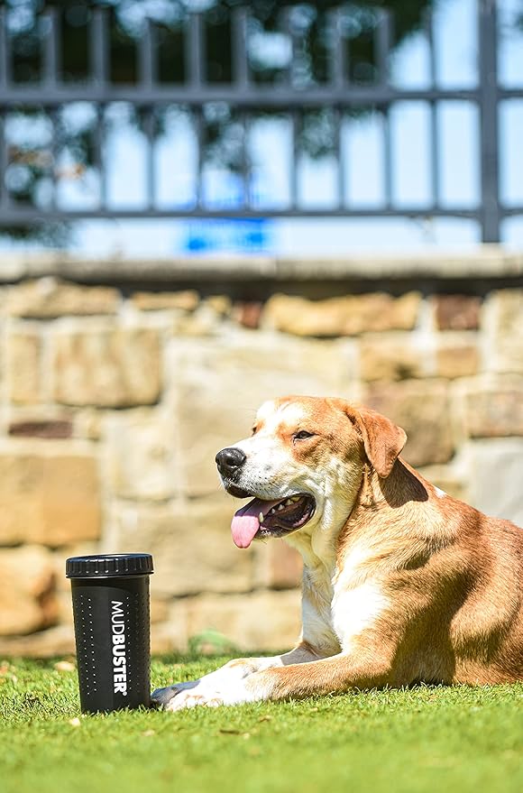 Dexas MudBuster Large Dog Paw Cleaner in Matte Black - Fits 2.5"-3.5" Wide Paws, Portable Paw Washer for Muddy Paws, Dog Paw Cleaning Cup with Gentle Silicone Bristles, Quick Clean Pet Paw Washer