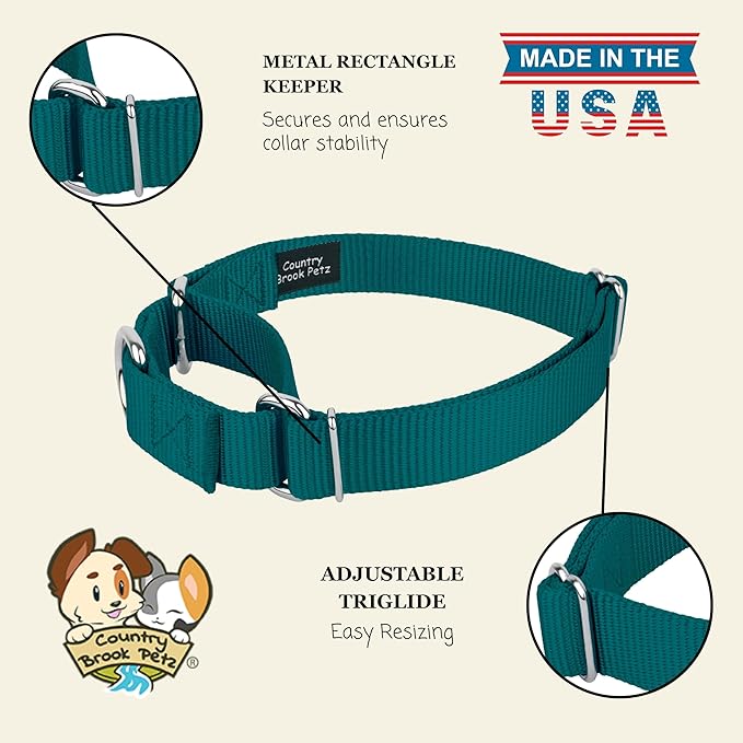 Country Brook Petz - Martingale Dog Collar - Heavy-Duty Training Collar with No Buckle - Service Dog Collar for All Pups - 20 Vibrant Colors (Teal, 1 Inch, Medium)