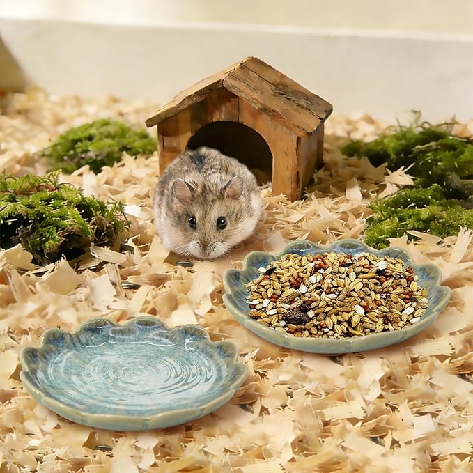 BNOSDM Shallow Ceramic Hamster Food Dish 2 Pcs Small Animals Food Bowl Sunflower Feeding Dishes for Gerbils Mice Rats 4.5in (Dark Green)