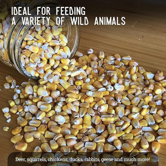Ernst Grain & Livestock Whole Corn – Perfect Feed for Deer, Squirrels, Chickens, Ducks, Rabbits, Geese, and More! (46 Pound)