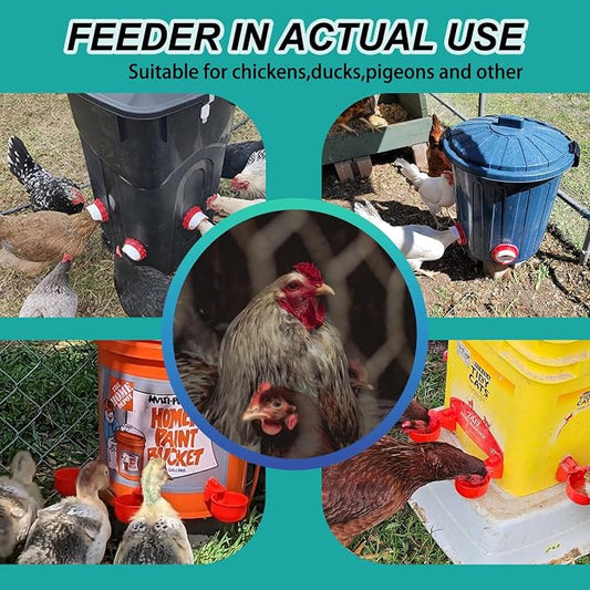 6-Port DIY Chicken Feeder and Waterer Kit, No-Waste Automatic Gravity Poultry Feeder-Spill-Proof, Rain-Proof Design for Buckets, Barrels, Bins, Troughs