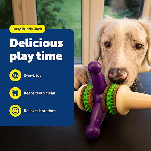 PetSafe Busy Buddy Jack - Treat Holding Dog Chew Toys - Helps Clean Teeth - Vanilla Scented Rubber for Strong Chewers - Treat Refills Included, Interactive Dog Toy Helps Keep Dogs Busy, Purple, Medium
