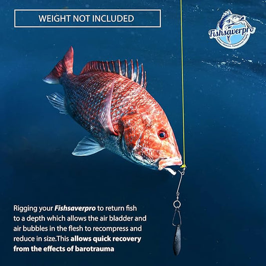 fish descending return device - 2 Pack- Compact & reliable release device built for long life. No mechanical release to fail. Great for red snapper. Unlike venting tools NOAA preferred.