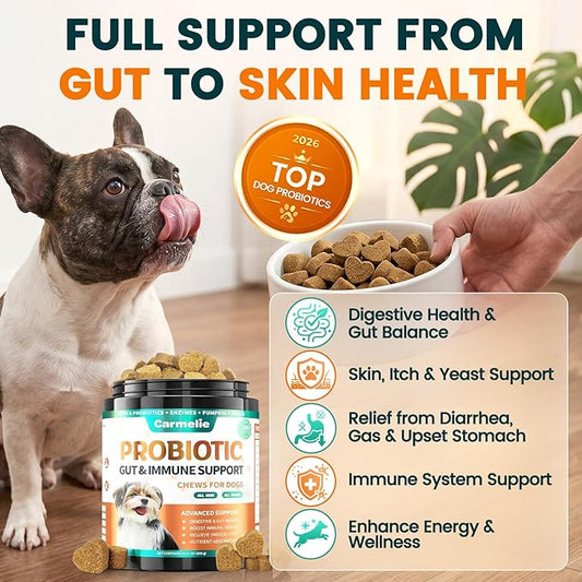 Probiotics for Dogs, Dog Probiotics for Yeast, Itchy Skin and Itchy Ears, Allergies, Immunity, Dog Gut Health Probiotic for Digestive Enzymes & Prebiotics for Diarrhea & Gas Relief (Chicken, 200 Chew)