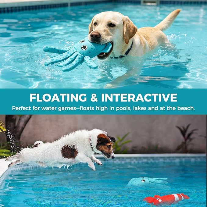 BINGPET Floating Dog Toys, 2 Pack Durable Squeaky Lobster & Squid Water Toy for Pool Beach Outdoor Interactive Fetch, Oxford Fabric Summer Swimming Pool Toys for Small Medium Large Dogs