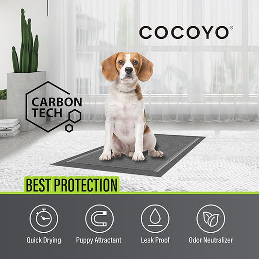 COCOYO Dog Training Pads 丨 Carbon Absorb Eliminating Urine Odor Doggie Training Pads 丨 Premium Charcoal Dog Pee Pads (100 Count, 22x22 inch),Gray