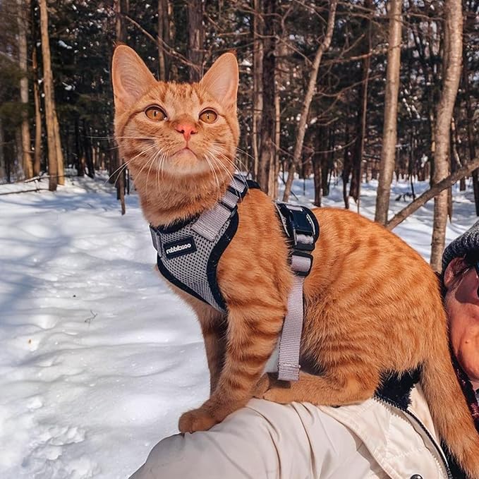 rabbitgoo Cat Harness and Leash for Walking, Escape Proof Soft Adjustable Vest Harnesses for Cats, Easy Control Breathable Reflective Strips Jacket, Grey, S