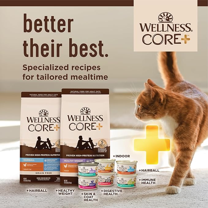Wellness CORE+ Healthy Weight Adult Dry Cat Food, Natural, Grain Free Kibble, Chicken Recipe, 4.75 lb Bag