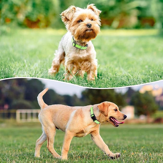 Reflective Dog Collar Padded with Soft Neoprene Breathable Quick Release Basic Dog Collars for Medium Dogs Green Boy Girl