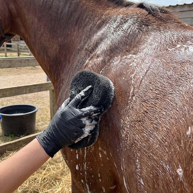 Horse Grooming Set with Mane & Tail Brush and Soft Cleaning Sponge – for Daily Coat Care, Removing Dirt, Sweat & Loose Hair