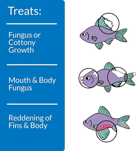 API PIMAFIX Antifungal Freshwater and Saltwater Fish Remedy 8-Ounce Bottle (10H)