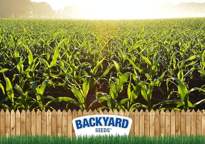 CountryMax Backyard Seeds Whole Corn 20 lbs - High-Energy Animal Feed for Chickens, Squirrels, Deer & Wild Birds, Ground Feeding, High Protein