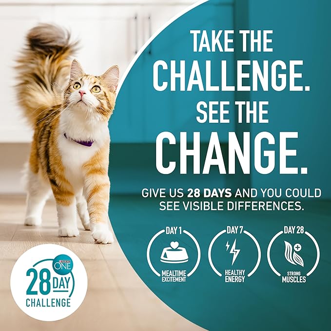 Purina ONE High Protein, Healthy Weight Plus Ideal Weight With Chicken Dry Cat Food - 3.5 lb. Bag