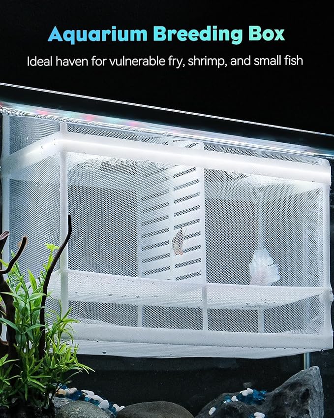 Pawfly Fish Tank Breeder Net Aquarium Fish Breeder Box with Nylon Mesh & Suction Cups, Fish Separation Net Large Isolation Box, Fish Fry Hatchery Incubator Hatching Box for Baby Fish Shrimp Betta