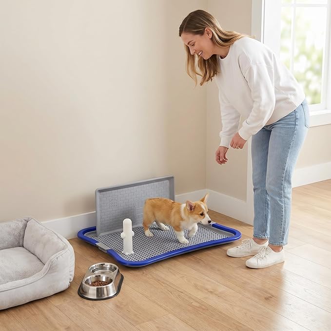 Dog Pee Pad Holder, Indoor Dog Potty Tray with Splash Guard & Center Post, Potty for Small Dogs, Waterproof and Easy to Disassembly and Cleaning Dog Toilet, 23.62"X19.69" (Blue)