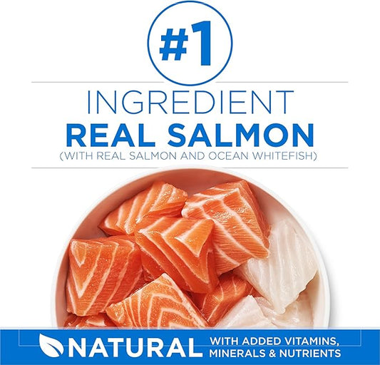 Purina ONE Plus High Protein Cat Food Dry Salmon and Ocean Whitefish Cat Skin and Coat Health Formula - 22 lb. Bag