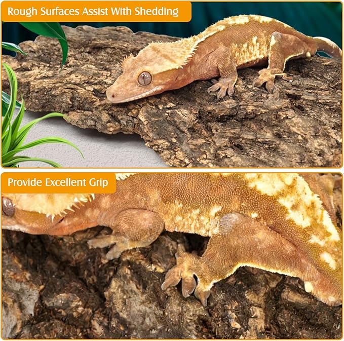 Natural Reptile Cork Bark Bedding Bearded Dragon Climbing Wall Mat 6PCS Cork Wood for Terrarium Background Decor Crested Gecko Tank Accessories for Lizard Snake Chameleon Tortoise Frog