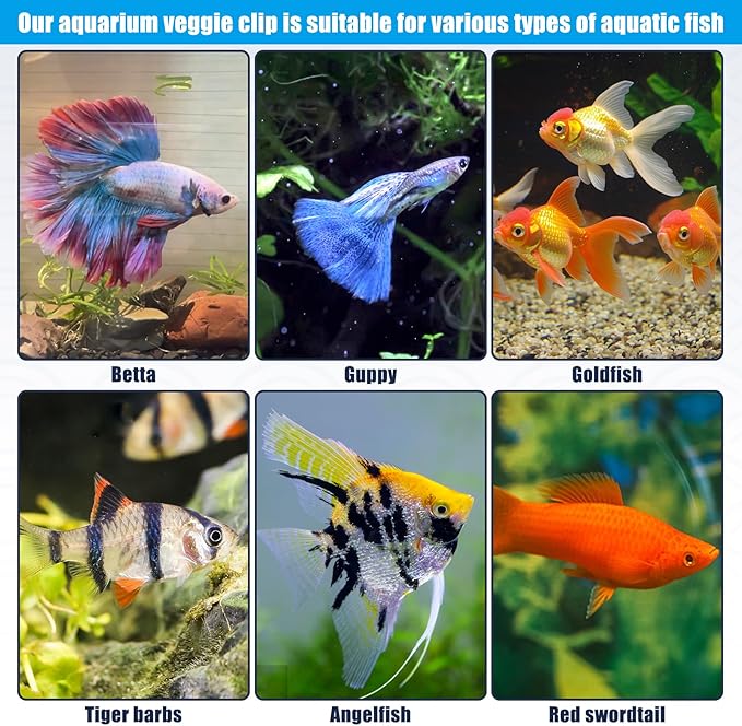 Magnetic Seaweed Fish Feeding Clip Saltwater Aquariums Magnet Veggie Feeder clamp Fish Accessories —Patented Product(4pcs Magnetic Veggie Clip)