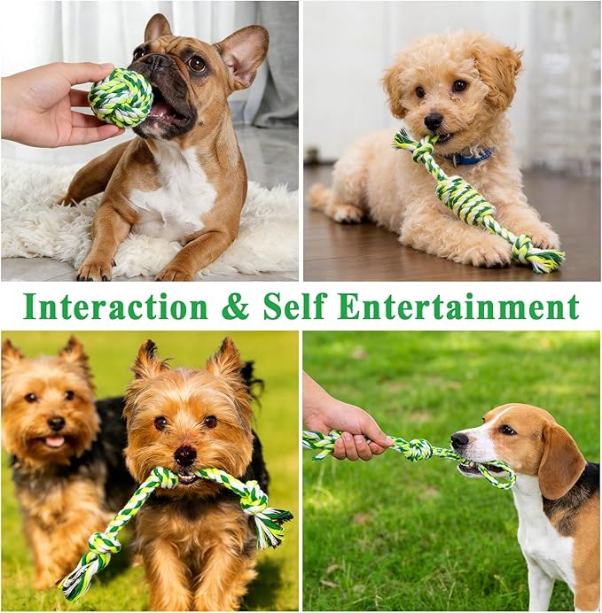 ASOCEA 5 Pack Dog Rope Toys Cotton Puppy Teething Chew Toys for Small Medium Dogs Interactive Tug Toy for Training Fetching Boredom Relief(Green)