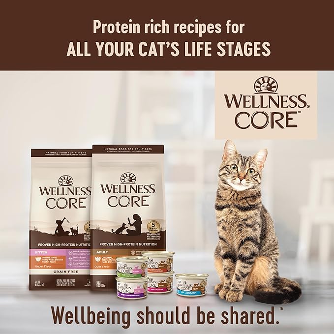Wellness CORE Pate Kitten Wet Cat Food,Natural,Protein-Rich,Grain Free,3 Ounce (Turkey & Chicken Liver),(Pack of 24)