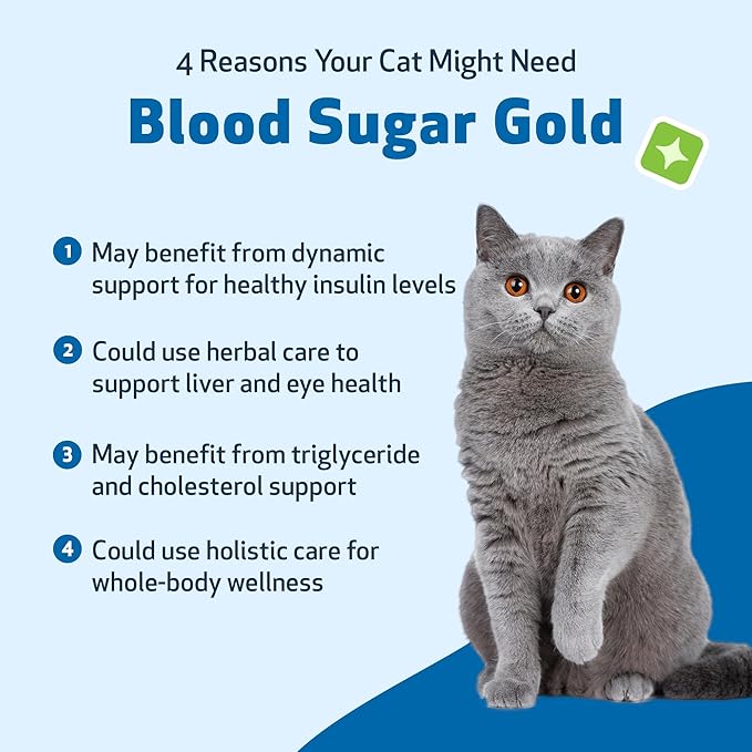 Pet Wellbeing Blood Sugar Gold Cats - Holistic Blood Sugar Support, Pancreas & Liver Health, Gymnema, Fenugreek & Devilās Club - NASC Certified & Vet-Formulated - 4 oz Liquid