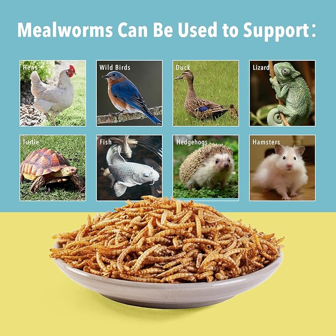 WormsFarm 11lb Dried Mealworms for Chickens Snacks for Birds Bulk-Treats for Laying Hens(11 Pound)