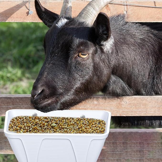 mozoba Hanging Chicken Feeder Trough for Goat Sheep Deer Poultry Duck Chicken Fence Feeder Livestock Feeding Container Goats Supplies Feeders Waterer Bucket (White)