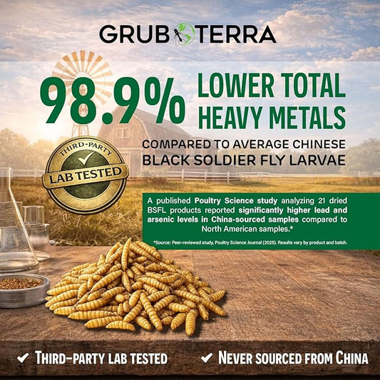 GrubTerra Black Soldier Fly Larvae for Chickens – Dried BSFL Poultry Treat, High Protein Calcium Feed Supplement for Laying Hens, Backyard Chickens, Sourced from Mexico, Not from China - 1LB
