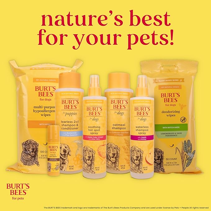 Burt's Bees for Pets Oatmeal Dog Conditioner with Colloidal Oat Flour and Honey, Moisturizes and Softens Dry Dog Coats, pH Balanced and Fragrance-Free, 95% Natural Origin, 10 Fl Oz
